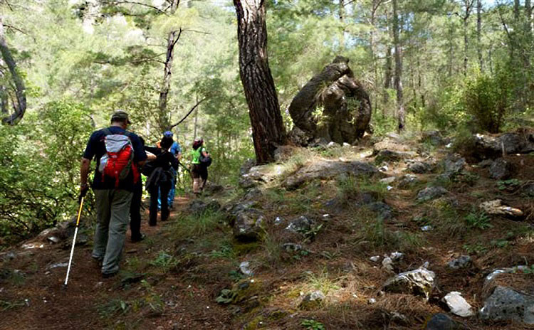 narstonehouse-trekking